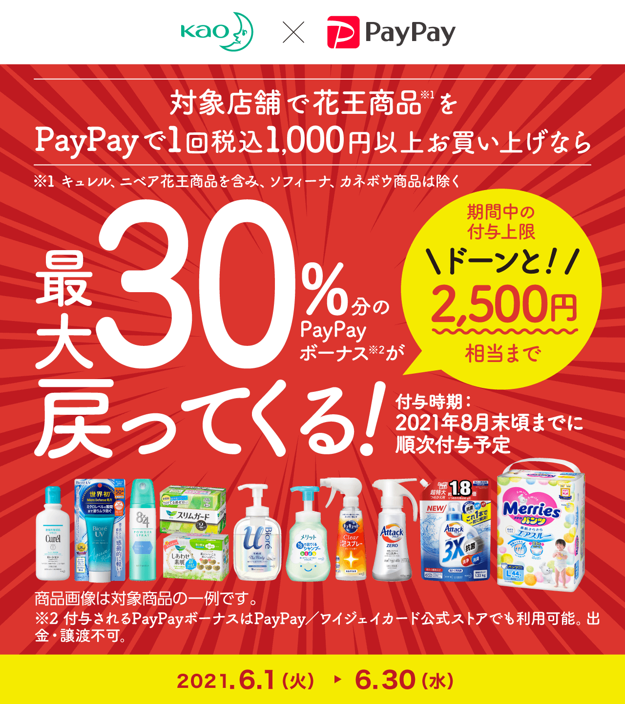 花王の6月PayPayキャンペーン
